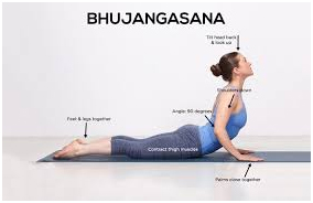 Bhujangasana Yoga Master in Palakkad