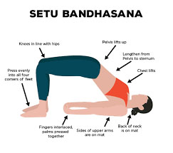 Setu Bandhasana Yoga in Palakkad